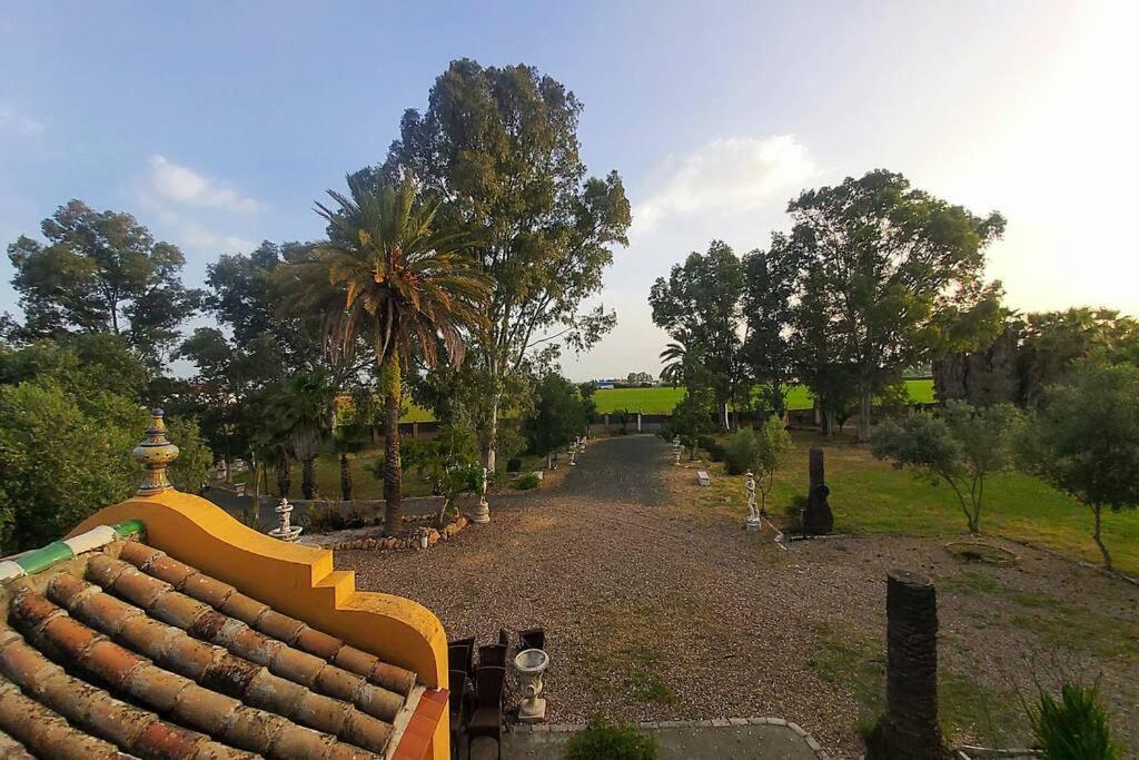 Villa Cortijo San José Sevilla Exterior foto